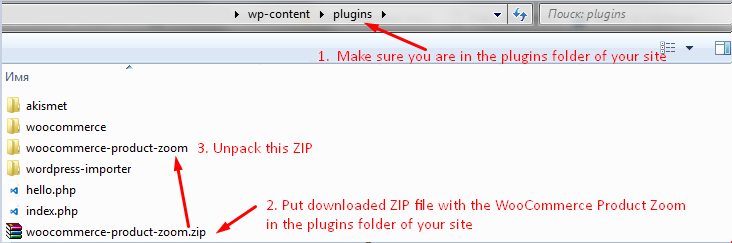 Download and put to plugins